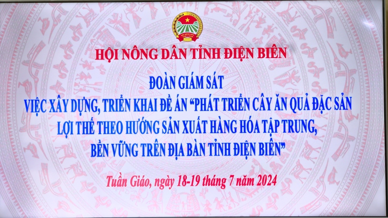 Đoàn Giám sát của Hội Nông dân tỉnh làm việc với  huyện Tuần Giáo