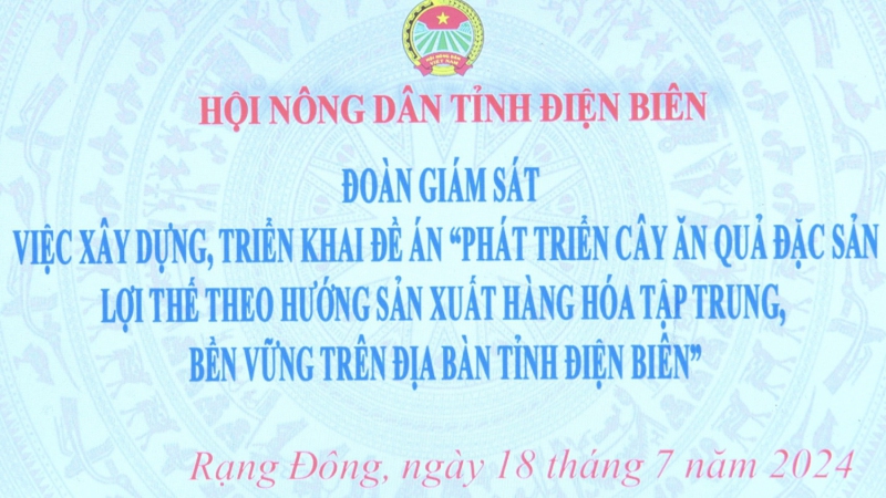 Đoàn Giám sát của Hội Nông dân tỉnh giám sát tại xã Rạng Đông