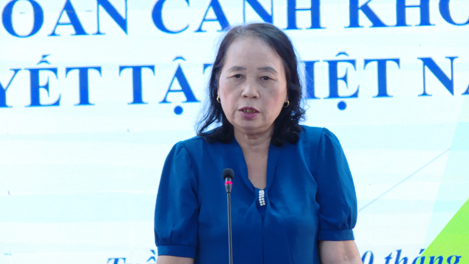 Bà Phạm Thị Vịnh Chủ tịch Hội Bảo trợ người khuyết tật và bảo vệ quyền trẻ em tỉnh Điện Biên phát biểu tại chương trình